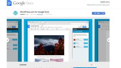 Google Wordpress Plugin