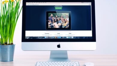 Vibecampo