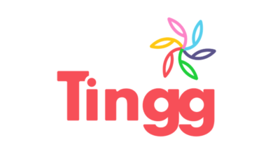 Tingg Cellulant Super App