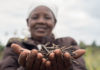 Kenya's Pula raises $6 Million Series A to provide Insurance to Small Farmers