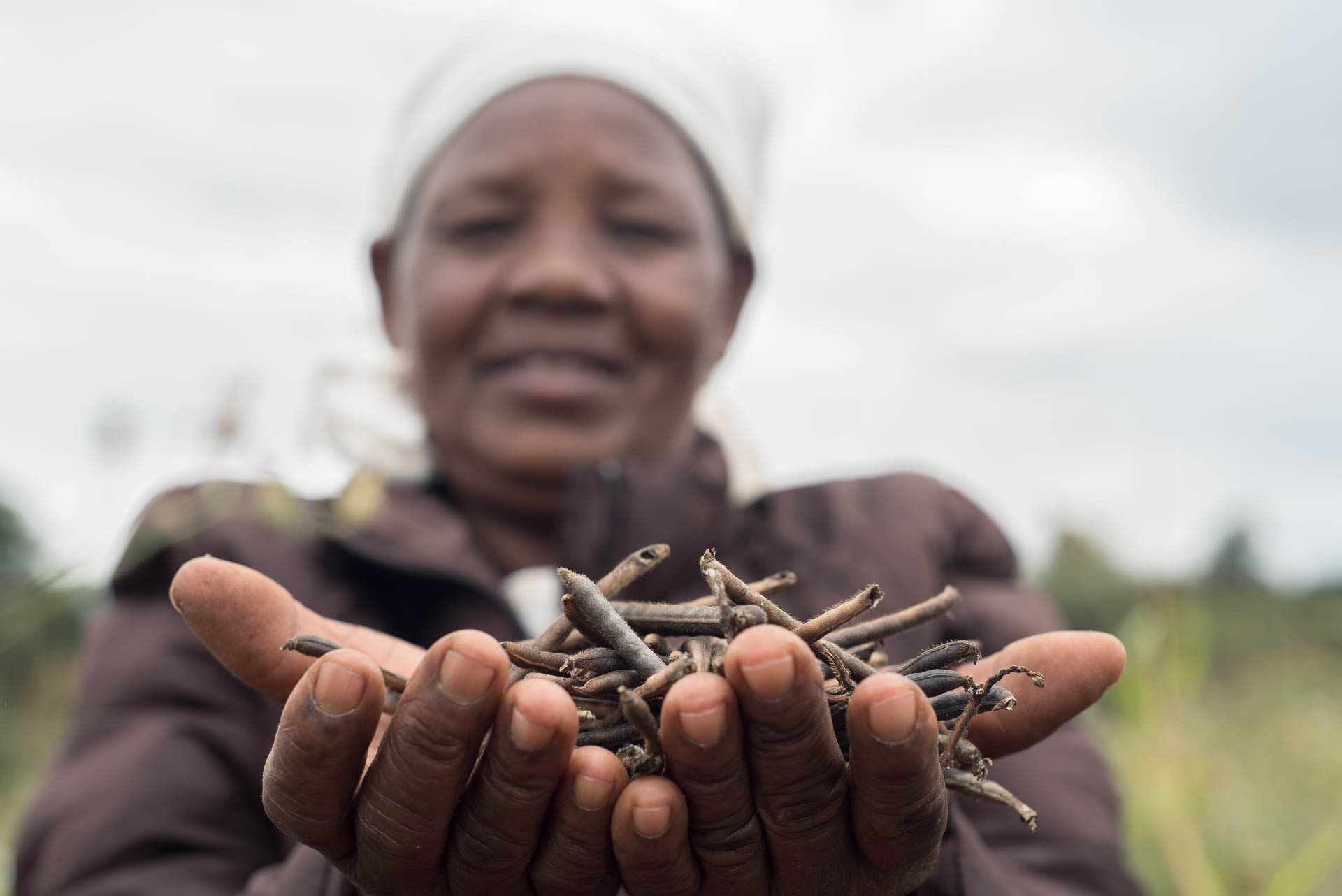 Kenya's Pula raises $6 Million Series A to provide Insurance to Small Farmers