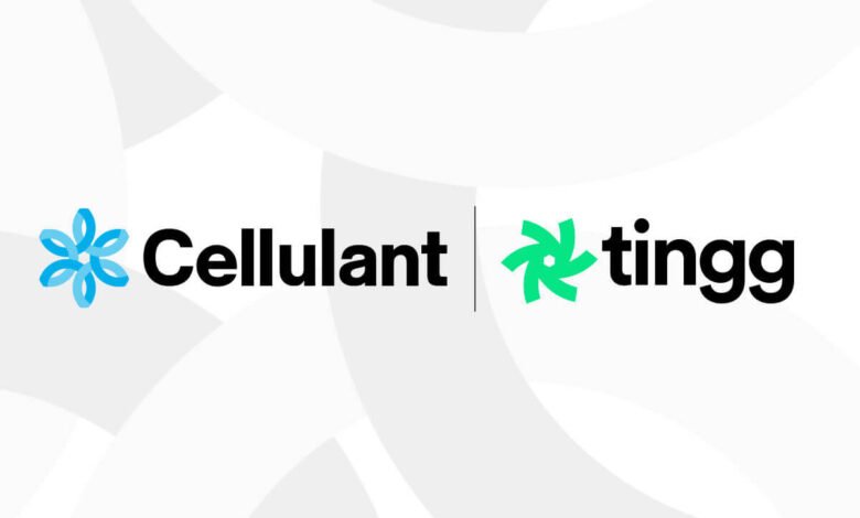 Cellulant unveils new brand identity in bid for a more connected Africa