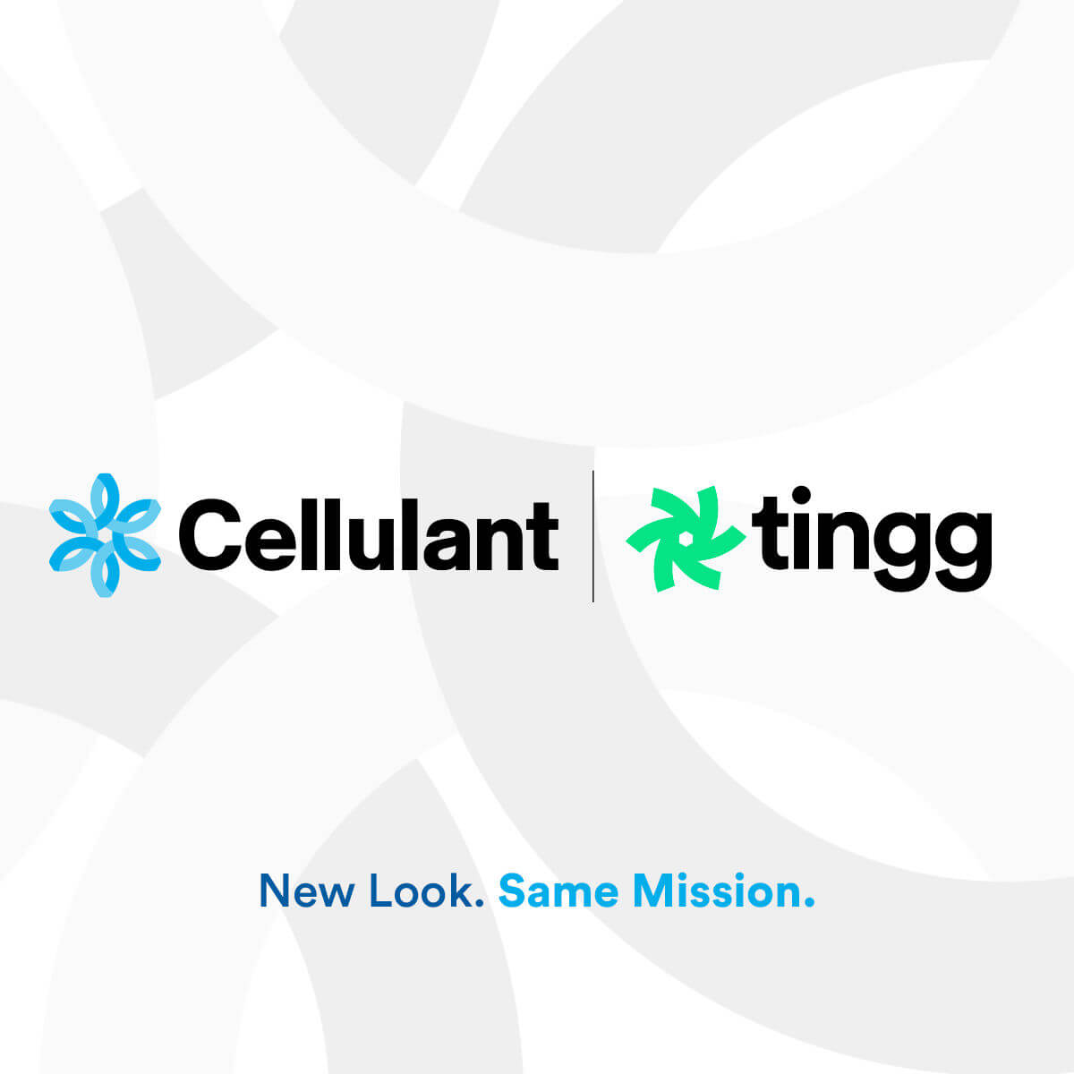 Cellulant unveils new brand identity in bid for a more connected Africa