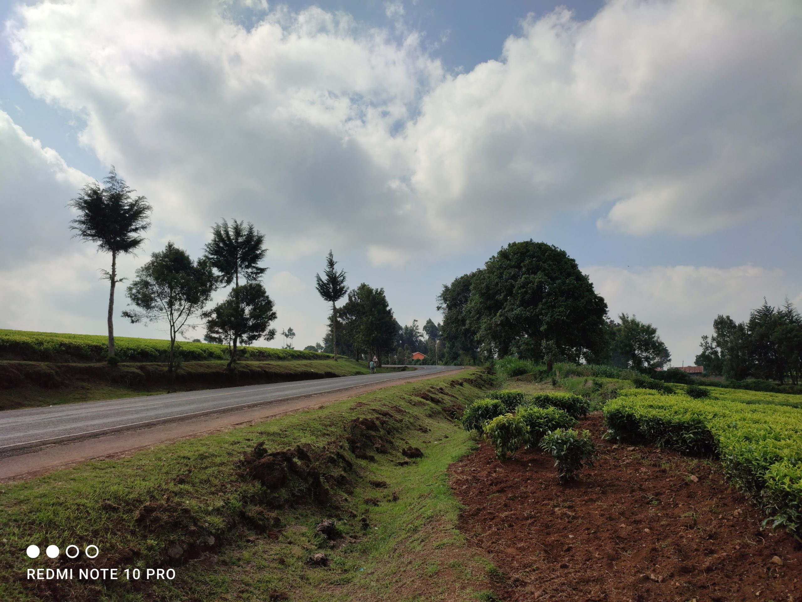 Photos taken by the Redmi NOTE 10 Pro:
