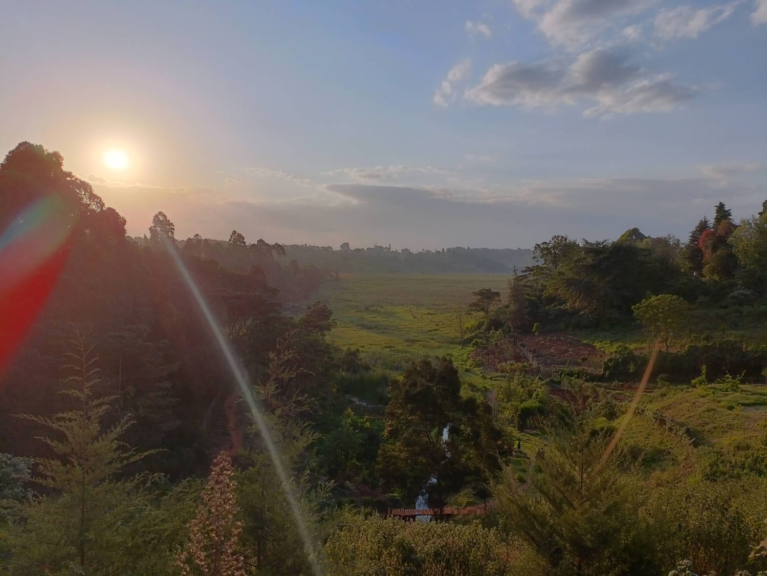OPPO Reno6 5G Review Camera Samples