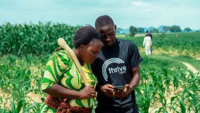Nigeria's ThriveAgric raises $56.4 Million Debt Funding to expand to new markets