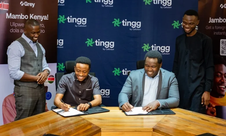 'Grey' fintech offering Foreign Bank Accounts and Instant Money Transfer expands to Kenya