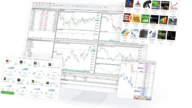 5 best Metatrader 5 brokers in 2022