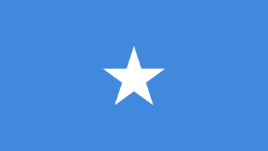 Somalia bans TikTok, Telegram, 1XBET due to "terror propaganda, aligning with military offensive against Al-Shabaab".