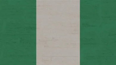 Ayoba and Adanian Labs launch SME Accelerator program in Nigeria, empowering small businesses for growth and innovation.