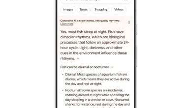 Google introduces Search Generative Experience in Africa, enhancing search with AI for better information access and diversity.