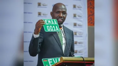 Electric Vehicles to Stand Out with Green Number Plates in Kenya