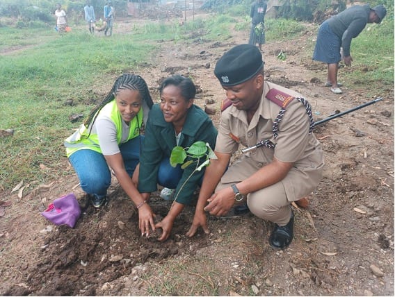 NCBA Celebrates World Environment Day with 12,300 Tree Donations, 10 Million Tree Goal