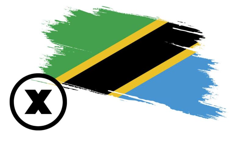 X (Formerly Twitter) Blocked Across Tanzania Amid Political Tensions