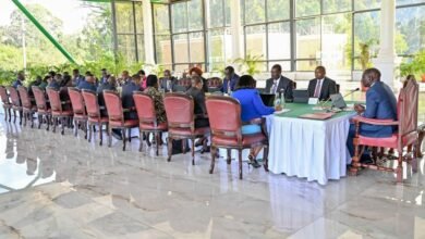 Kenya restructures state corporations through mergers, dissolutions, and privatizations to improve efficiency, reduce redundancy, and foster economic growth.