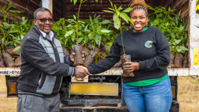 Safaricom's Schools Regreening Programme promotes sustainability by planting fruit trees in schools, enhancing environmental conservation, food security, and carbon offsetting.