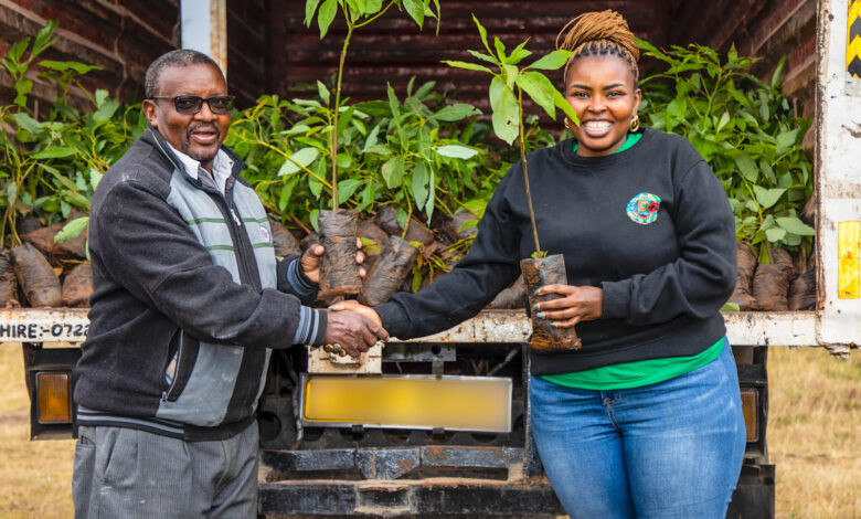 Safaricom's Schools Regreening Programme promotes sustainability by planting fruit trees in schools, enhancing environmental conservation, food security, and carbon offsetting.