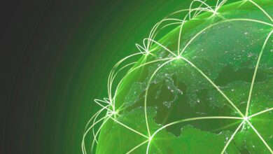 Hayo launched National Mobile Registry platform helping emerging market governments regulate mobile imports, combat counterfeits, and boost digital tax revenues.