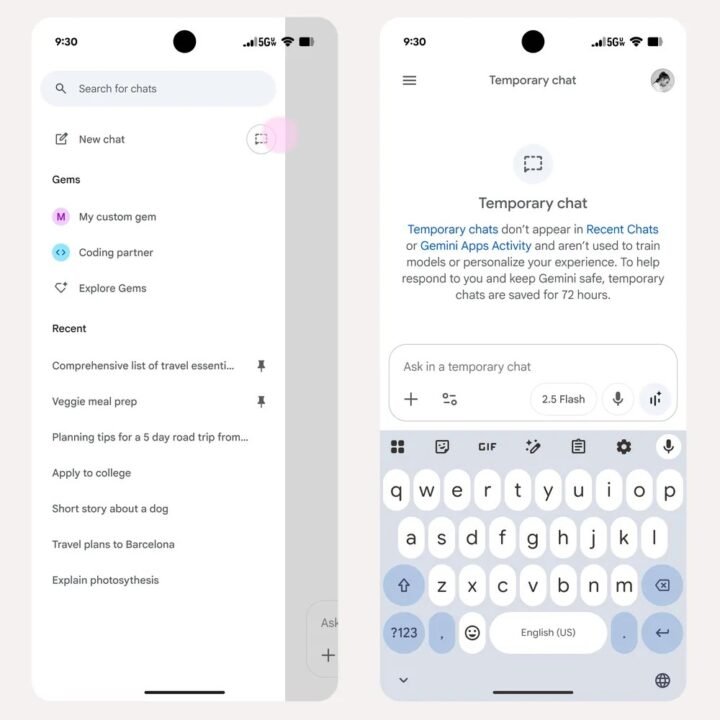 Gemini-Temporary-Chat