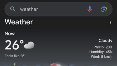 Google-Search-weather-short-term-forecasts