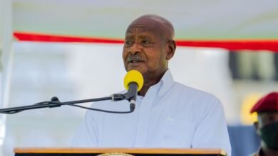 Uganda's government orders nationwide internet shutdown 36 hours before January 15 election, blocking all public connectivity amid opposition and international condemnation.