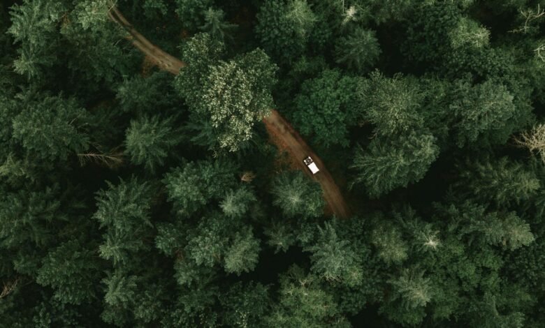 The carbon market has a trust problem. Discover how a KES 7.58 billion climate fund is using IoT cookstoves and satellite telemetry to mathematically prove emission reductions in emerging markets.