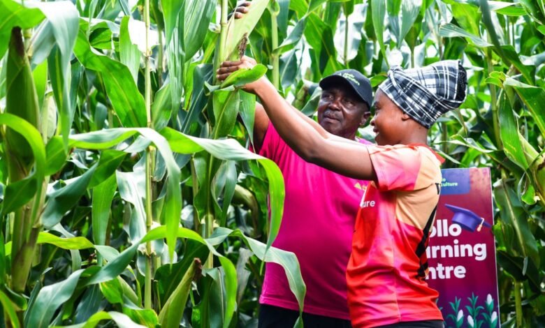 Kenya's first agriculture securitisation deal raises KES 276 million, turning smallholder farmer loans into investable assets.
