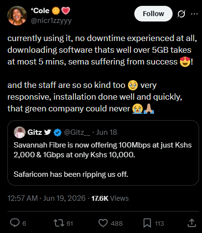 Savanna-Fibre-user-review