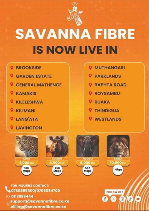 Savanna-Fibre-where-to-find-it