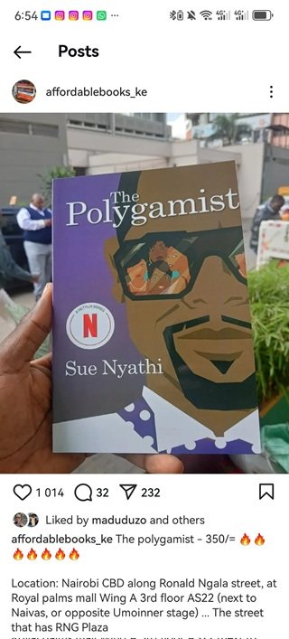 The-Polygamist-book-3