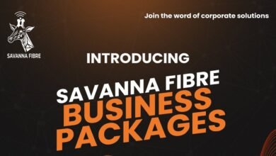 Savanna-Fibre-Business