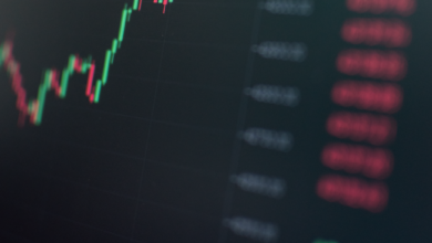 close up photo of data in a monitor