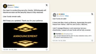 Tether and Circle froze about USD 2.4 billion after a suspected Binance hack. CZ says Binance will cover the rest.